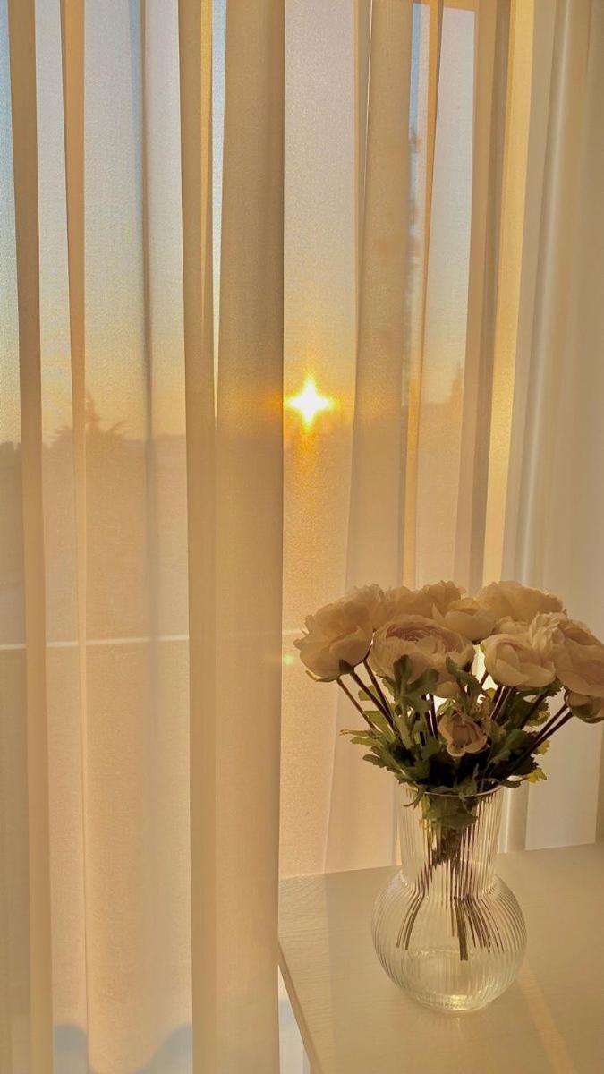 South Hotel טשקנט מראה חיצוני תמונה